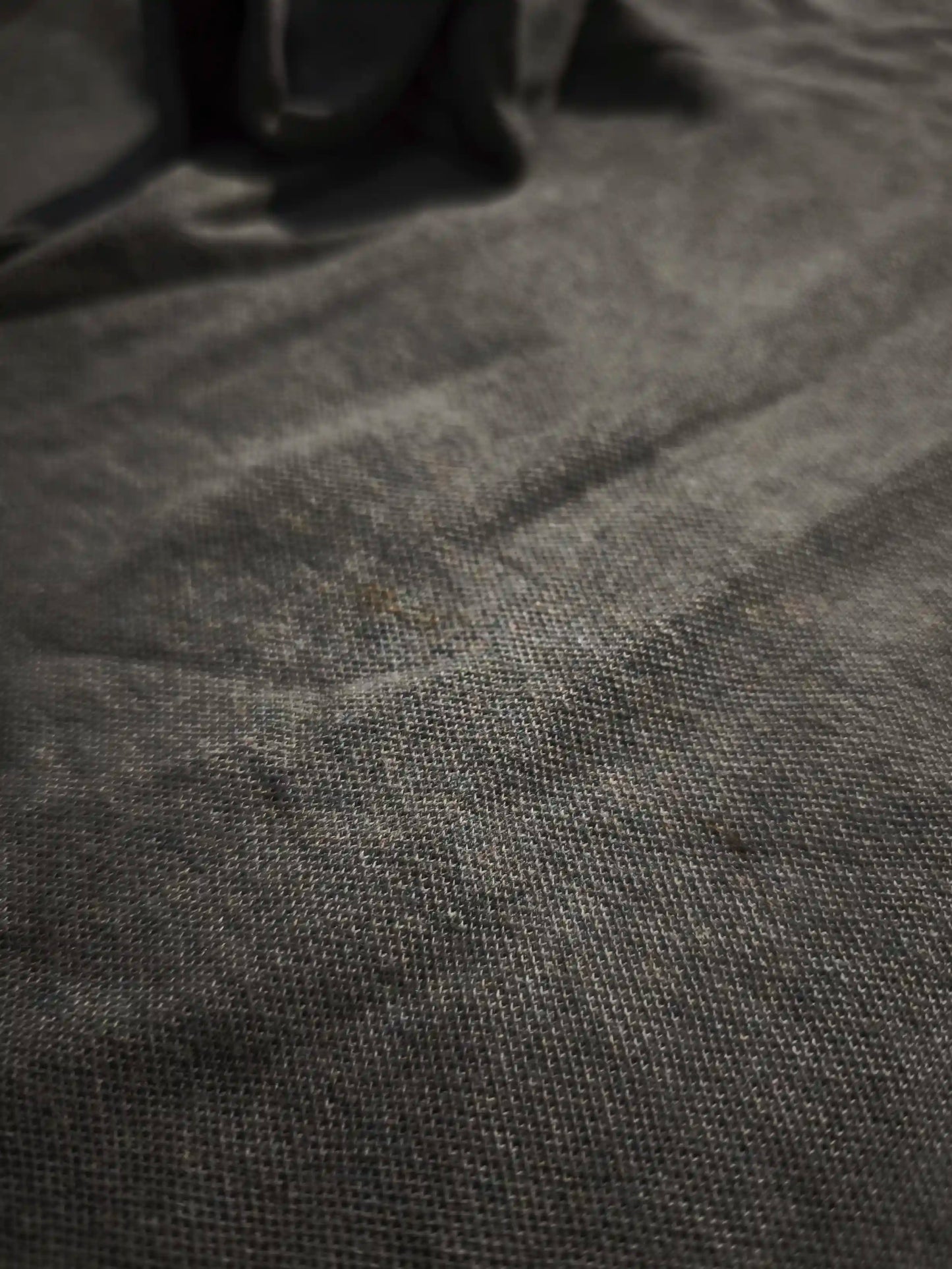 Lacoste Hosszú Ujjú Póló – Khaki Zöld (Női/M)