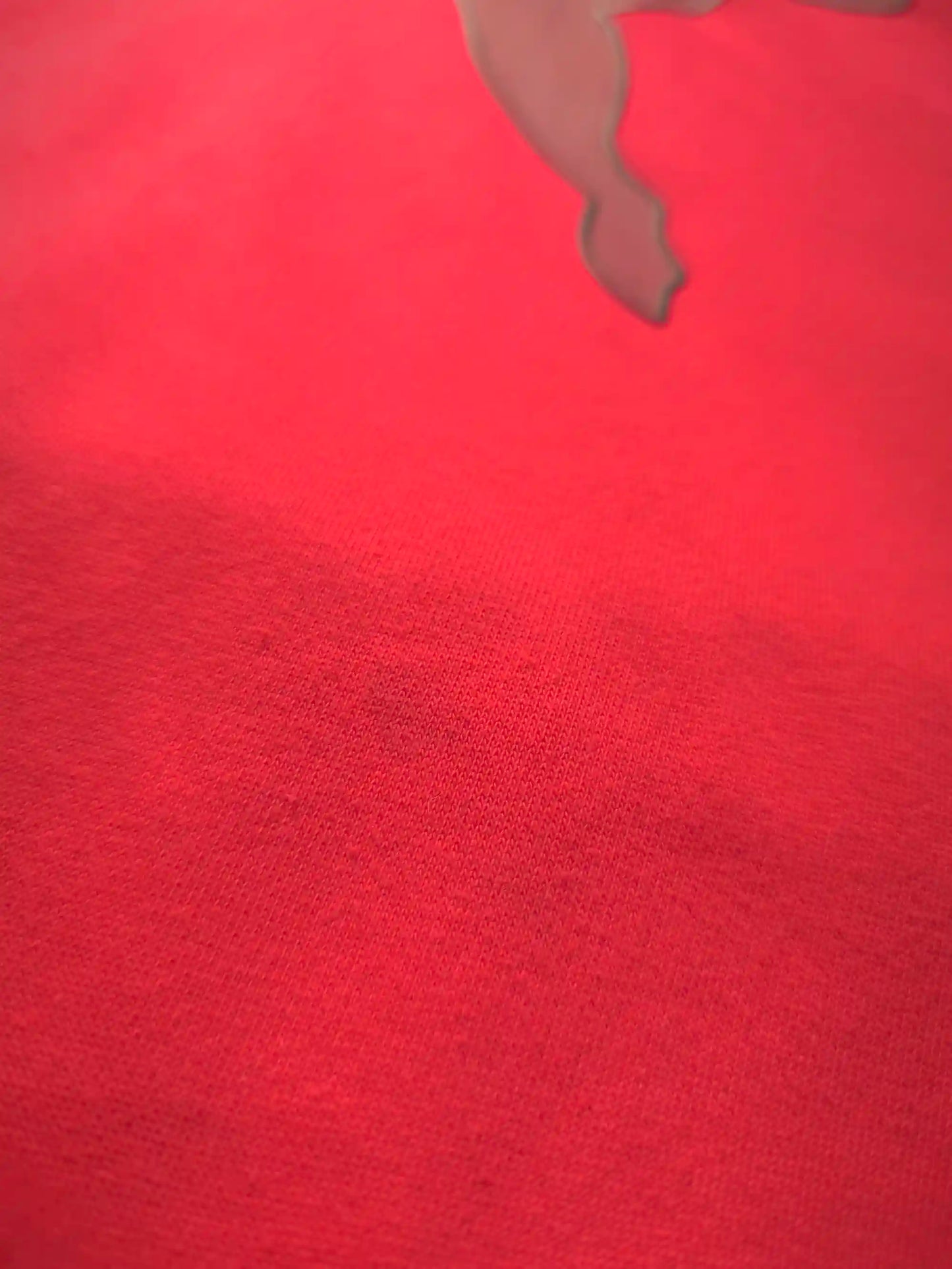Puma Big Logo Kapucnis Pulóver – Piros (Férfi/L)